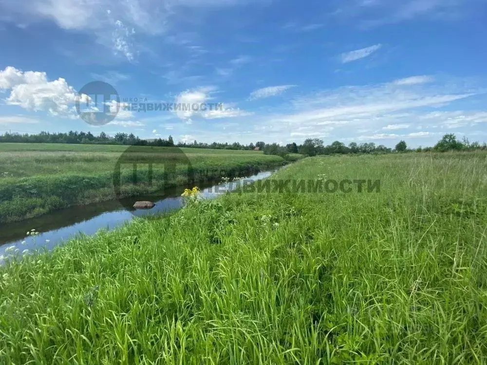 Участок в Ленинградская область, Гатчинский муниципальный округ, д. ... - Фото 1
