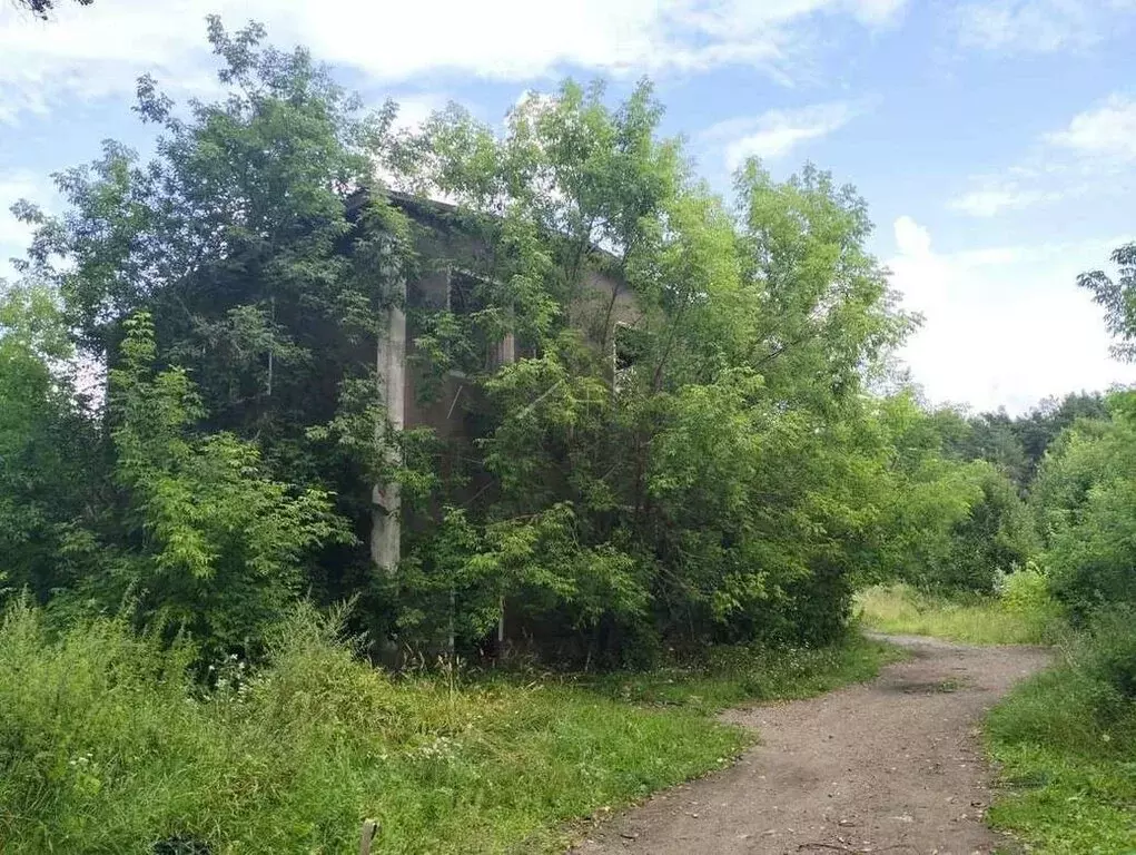 Помещение свободного назначения (84 м) - Фото 1