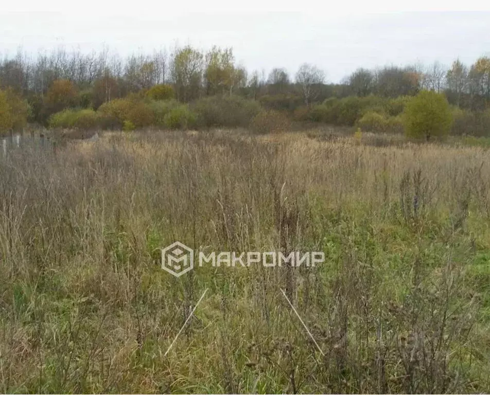 Участок в Челябинская область, Сосновский муниципальный округ, д. ... - Фото 1