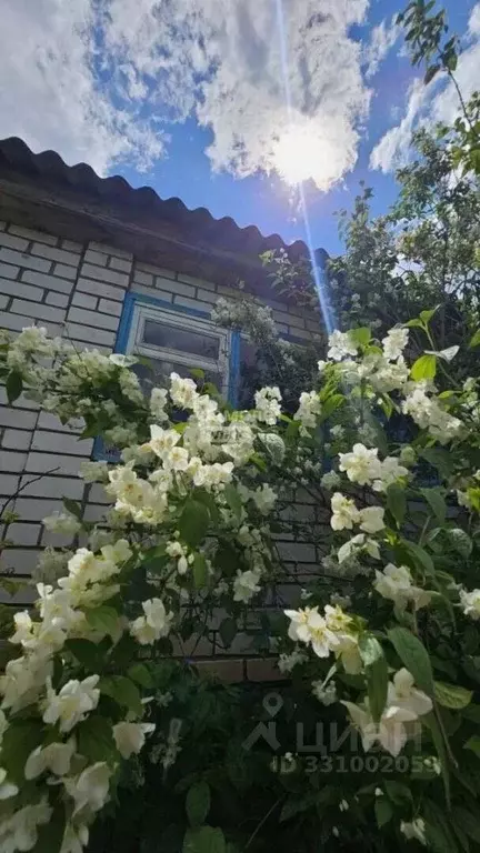 Дом в Башкортостан, Октябрьский ул. Матросова, 38 (111 м) - Фото 1