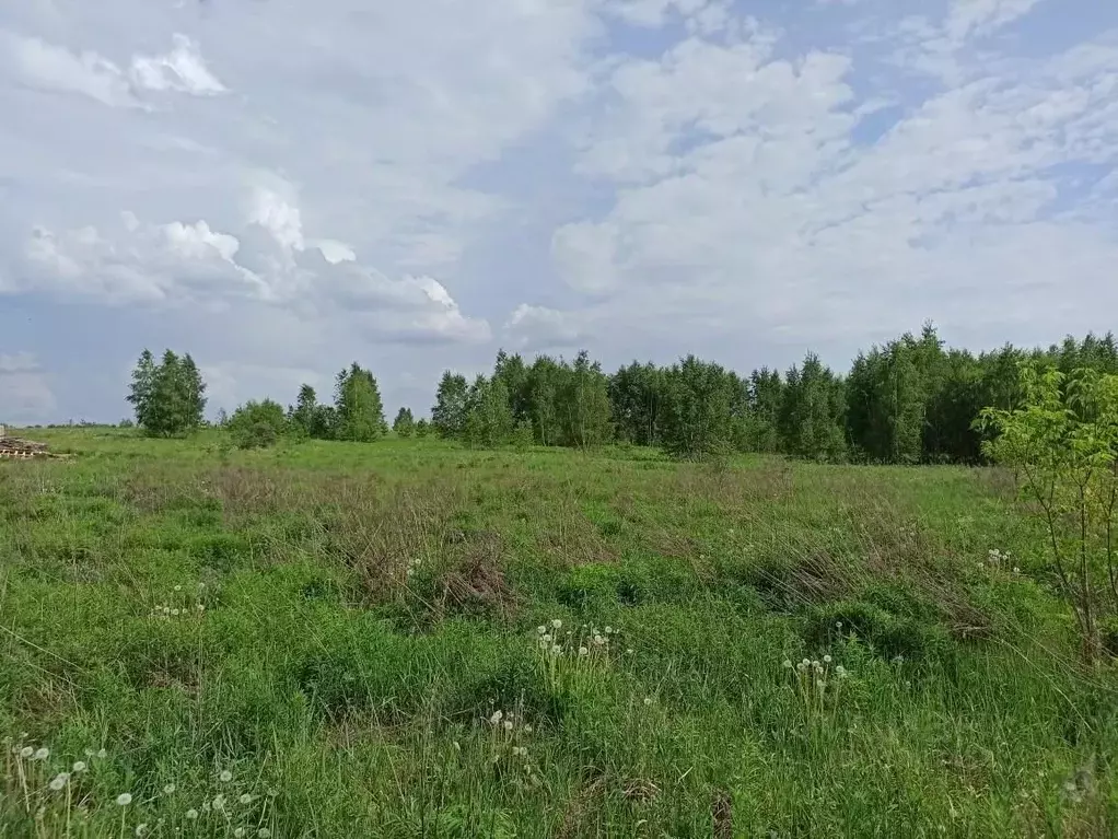 Участок в Московская область, Одинцовский городской округ, д. Борки  ... - Фото 1