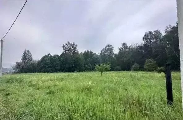 Участок в Иркутская область, Шелеховский район, Баклашинское ... - Фото 2