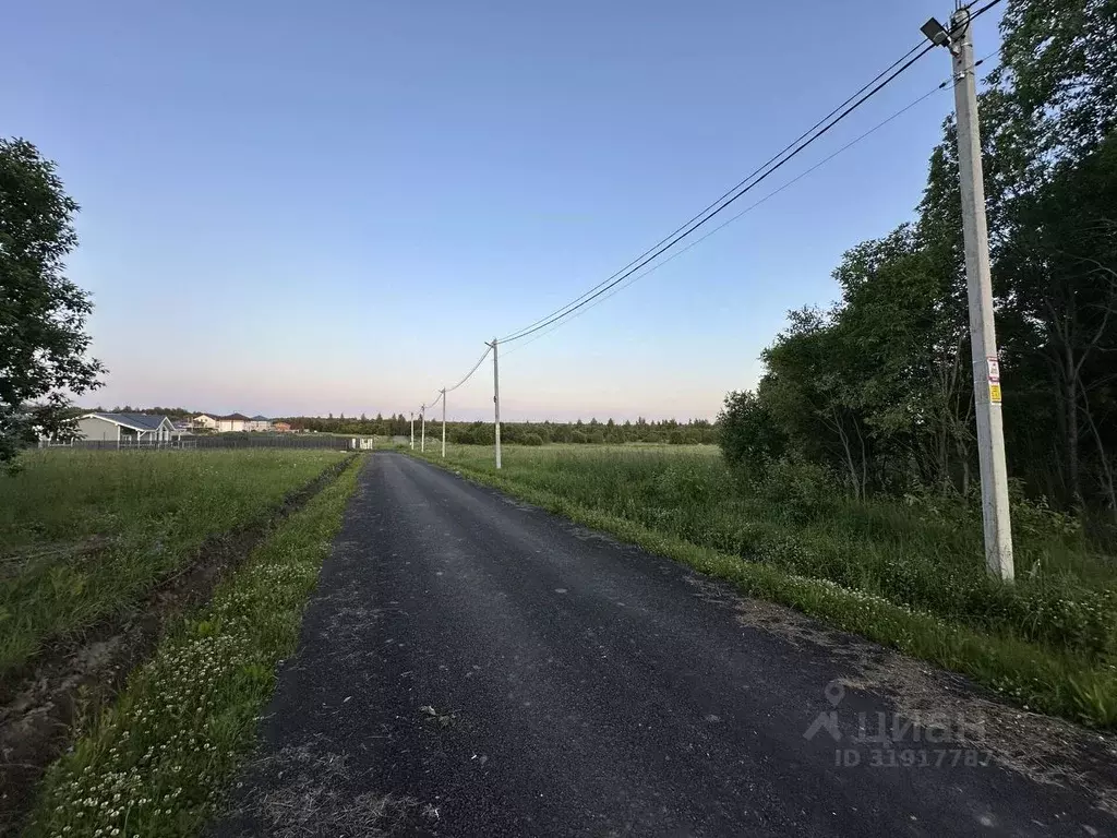 Участок в Ленинградская область, Всеволожский район, Романовское ... - Фото 1