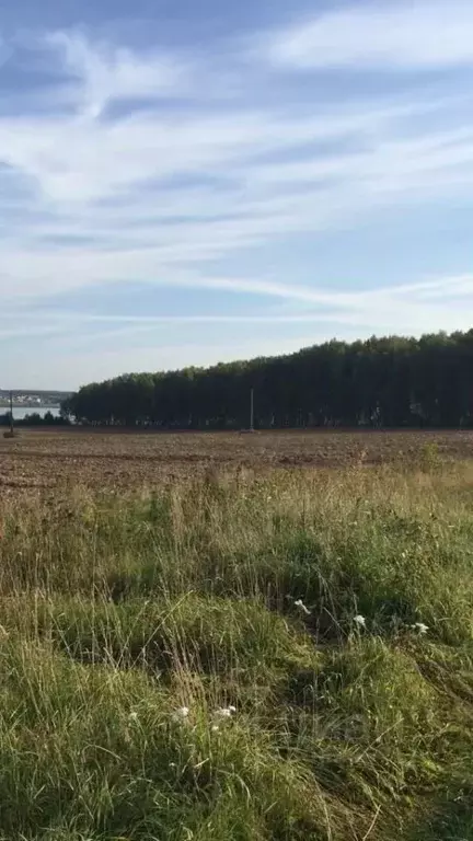 Участок в Нижегородская область, Чкаловск городской округ, д. Высокая  ... - Фото 1