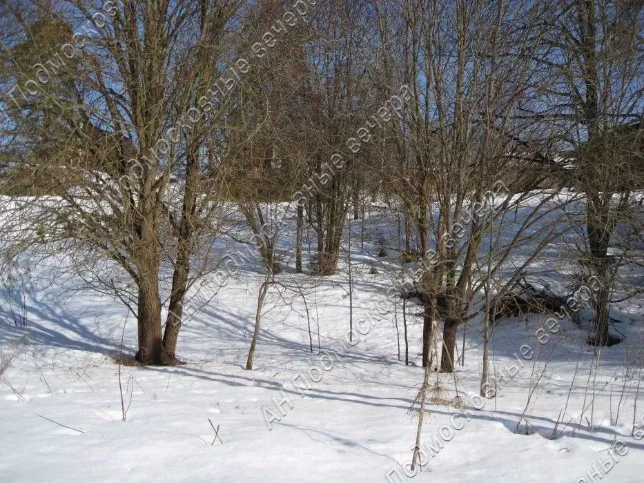 Участок в Московская область, Рузский муниципальный округ, д. Поречье  ... - Фото 2