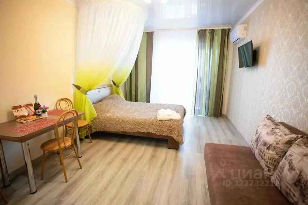 1-к кв. Тюменская область, Тюмень ул. Дмитрия Менделеева, 2к1 (33.0 м) - Фото 1