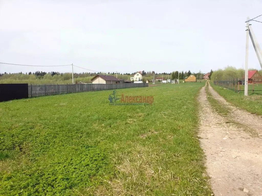 Участок в Ленинградская область, Волосовский район, Большеврудское ... - Фото 0