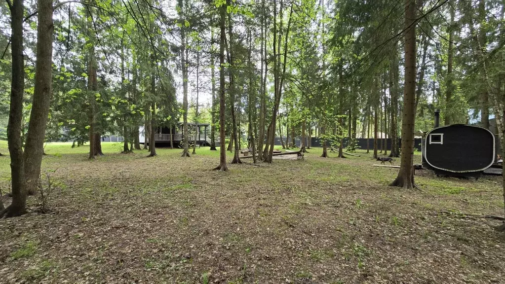 Участок в Московская область, Одинцовский городской округ, д. Сивково, ... - Фото 2