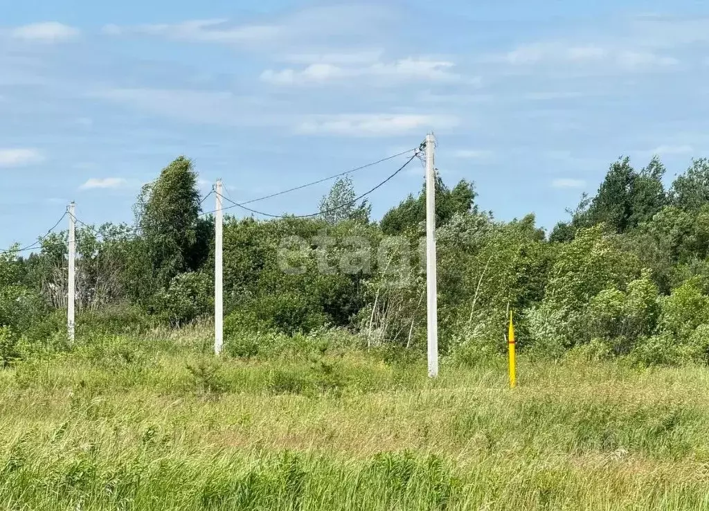 Участок в Тюменская область, Нижнетавдинский муниципальный округ, ... - Фото 1