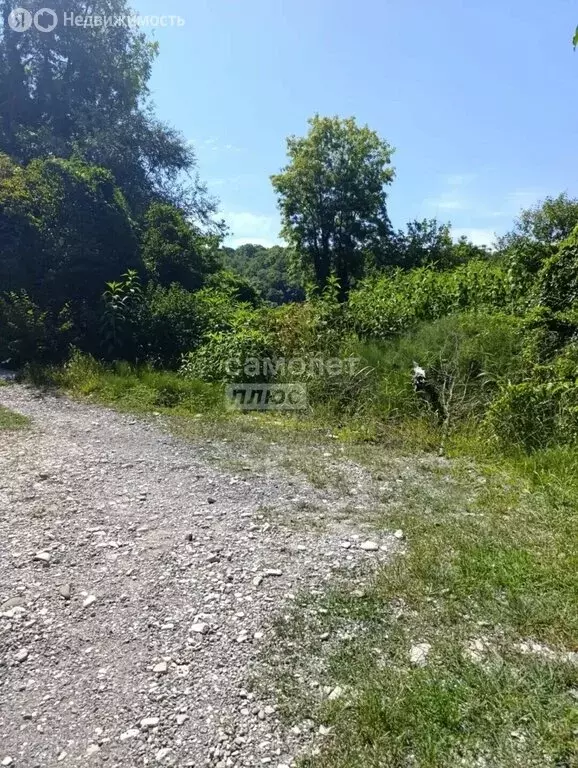 Участок в село Шепси, Родниковая улица (6 м) - Фото 2