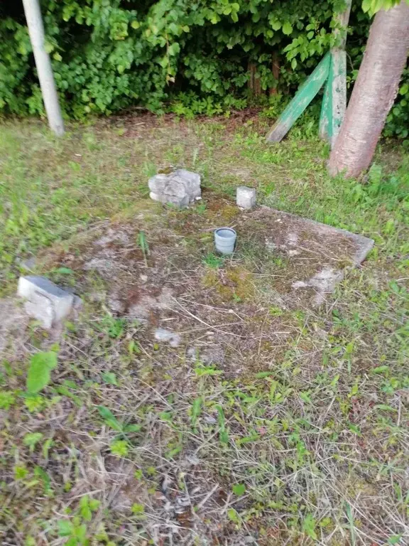 Дом в Калининградская область, Черняховский муниципальный округ, пос. ... - Фото 2