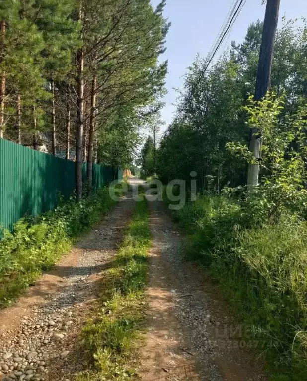 Участок в Иркутская область, Иркутский муниципальный округ, Ясное ДНТ ... - Фото 2