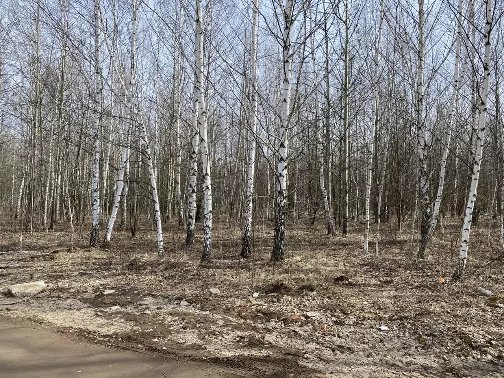 Участок в Татарстан, Казань Алтан жилмассив, ул. Газовая (4.0 сот.) - Фото 1