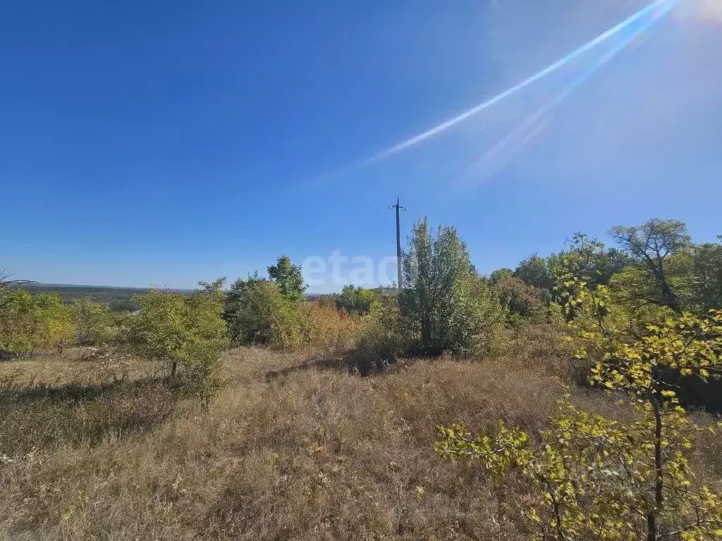 Участок в Воронежская область, Бобровский район, Никольское с/пос, ... - Фото 1