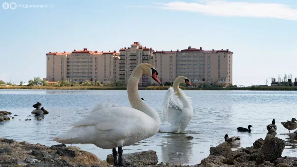 Помещение свободного назначения (94.8 м) - Фото 1