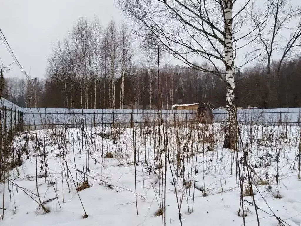 Участок в Московская область, Талдомский городской округ, д. ... - Фото 1