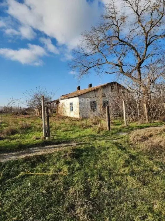 Дом в Крым, Советский район, с. Ильичево ул. Ленина (40 м) - Фото 1