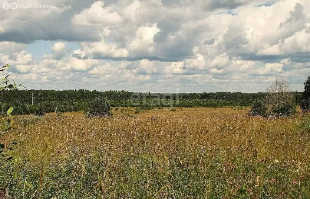 Участок в село Архангельское, Совхозная улица (100 м) - Фото 0