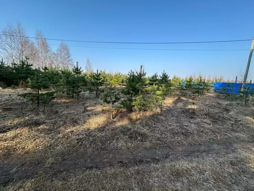 Участок в Московская область, Одинцовский городской округ, д. ... - Фото 1