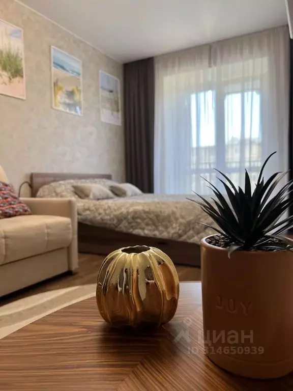 1-к кв. Псковская область, Псков Ольгинская наб., 5А (34.8 м) - Фото 0