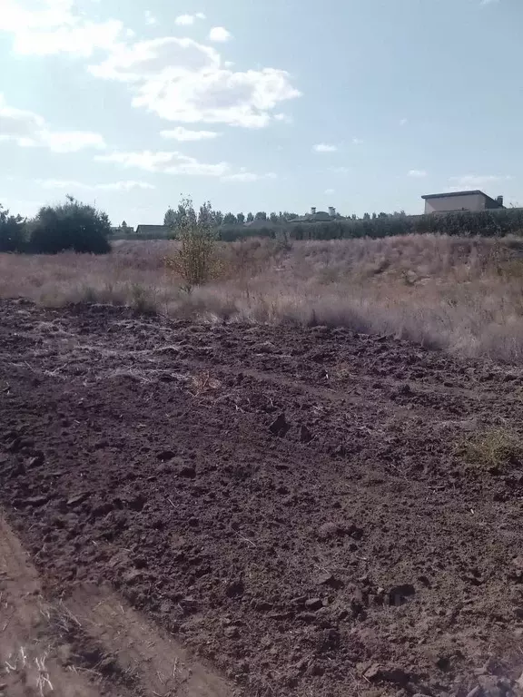 Участок в Волгоградская область, Среднеахтубинский район, Кировское ... - Фото 1