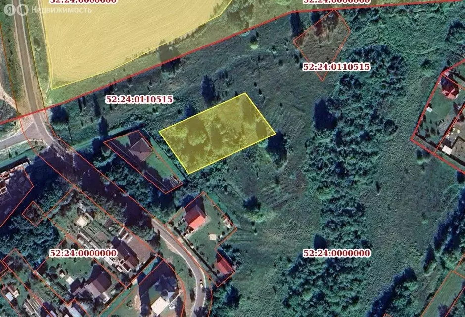 Участок в Нижегородская область, Богородский муниципальный округ, село ... - Фото 1