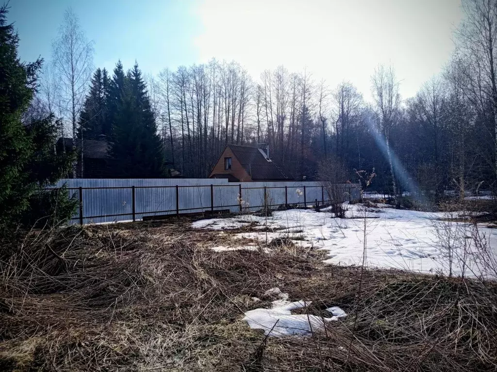 Участок в Москва Киевский рп, Нива СНТ, 3 (6.0 сот.) - Фото 2