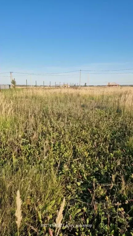 Участок в Татарстан, Тукаевский район, с. Биклянь ул. Солнечная (15.0 ... - Фото 0