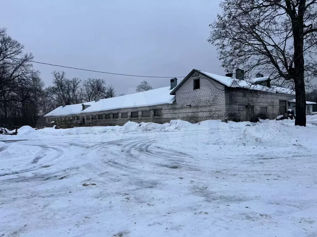 Здание свинарника, 603.5 м - Фото 1