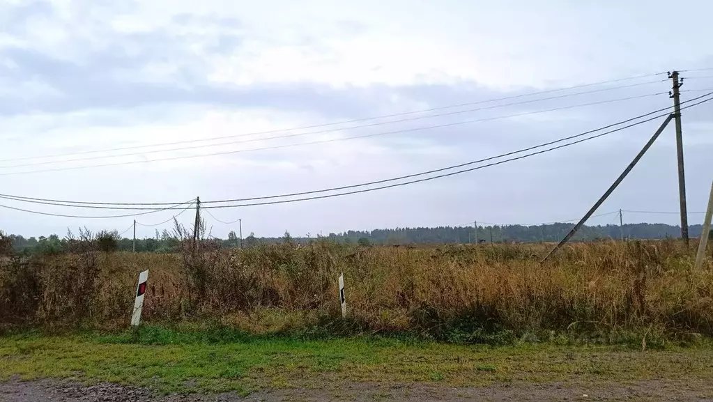 Участок в Ленинградская область, Тосненское городское поселение, ... - Фото 1