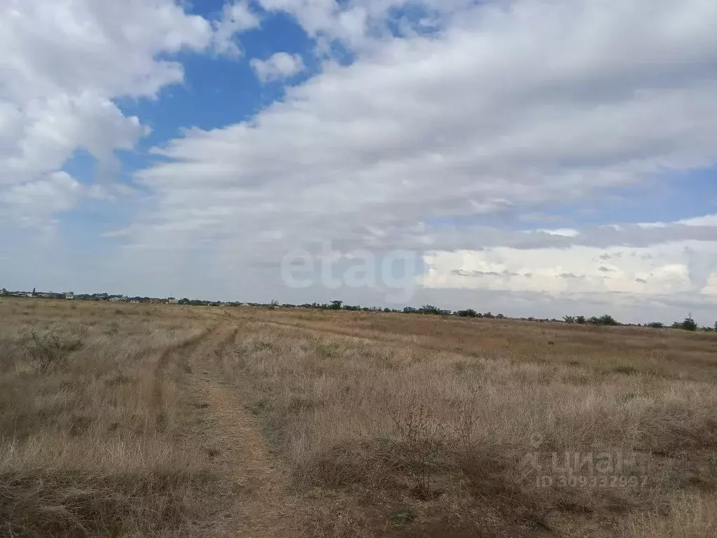 Участок в Крым, Сакский район, с. Лесновка ул. Садовая (6.0 сот.) - Фото 1