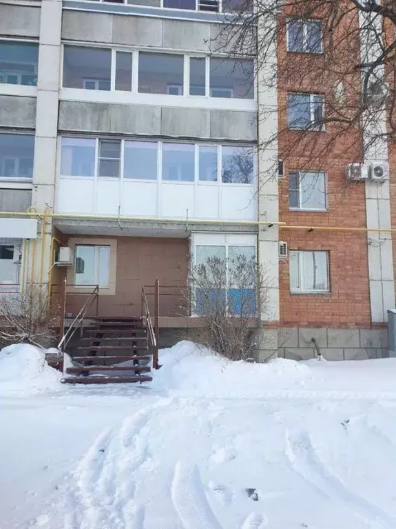 Торговая площадь в Курганская область, Курган ул. Коли Мяготина, 42 ... - Фото 1