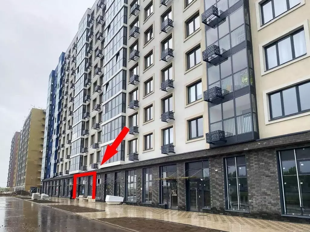 Помещение свободного назначения в Ленинградская область, Ломоносовский ... - Фото 2