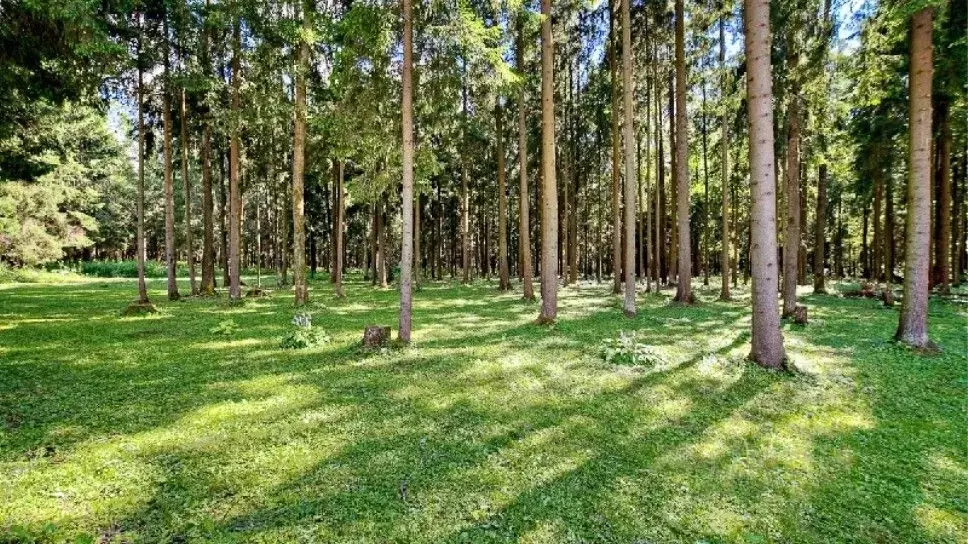 Участок в Московская область, Красногорск городской округ, д. ... - Фото 1