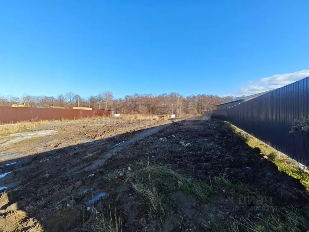 Участок в Калининградская область, Калининград пос. Лермонтовский, ул. ... - Фото 1