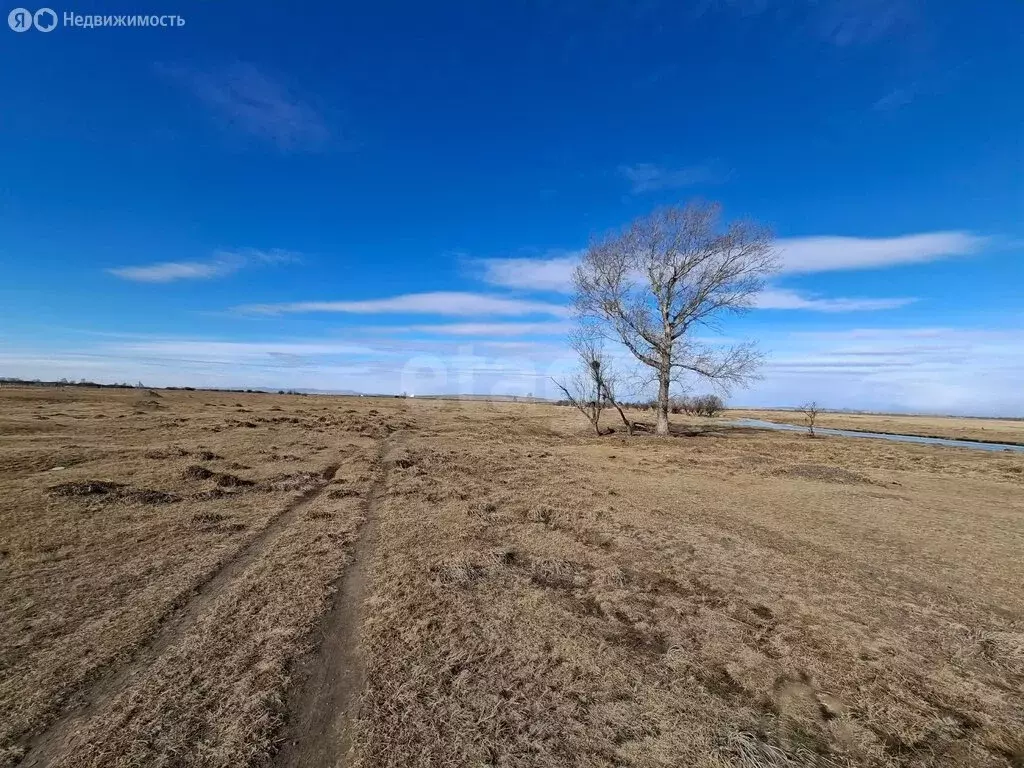 Участок в Усть-Абаканский район, посёлок Ташеба (553.5 м) - Фото 2
