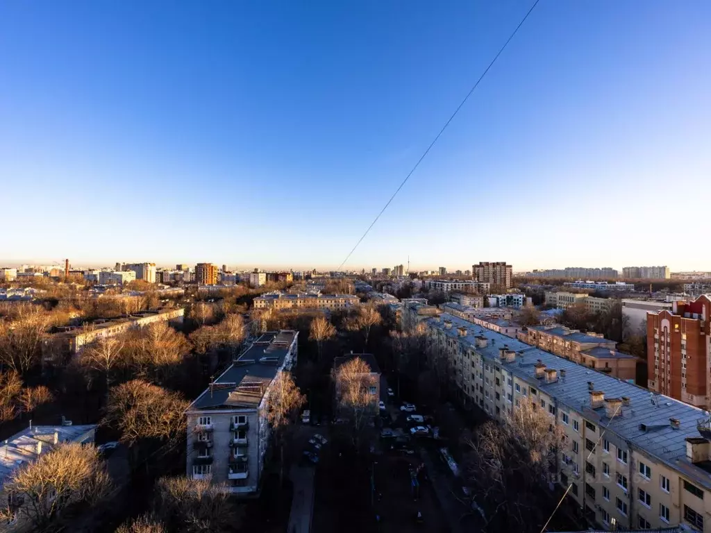 3-к кв. Санкт-Петербург Гаврская ул., 2 (86.9 м) - Фото 0