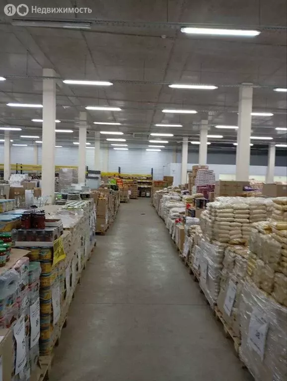 Офис (870 м) - Фото 2