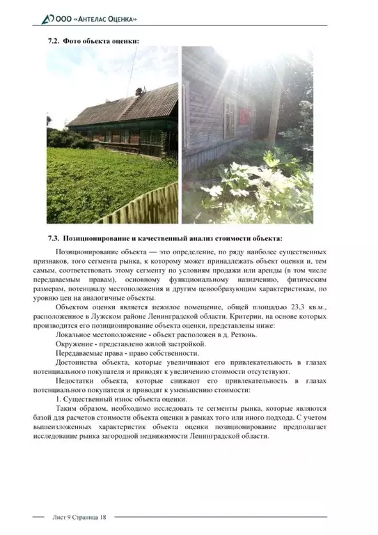 Помещение свободного назначения в Ленинградская область, Лужский ... - Фото 1