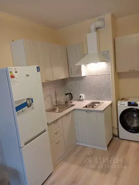 Студия Санкт-Петербург пос. Шушары, просп. Старорусский, 13к1 (26.0 м) - Фото 2