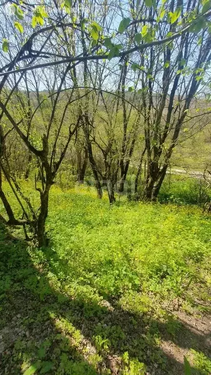 Участок в Краснодарский край, городской округ Новороссийск, посёлок ... - Фото 1