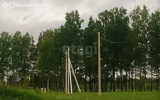 Участок в Ярославская область, Некрасовский муниципальный округ, ... - Фото 1