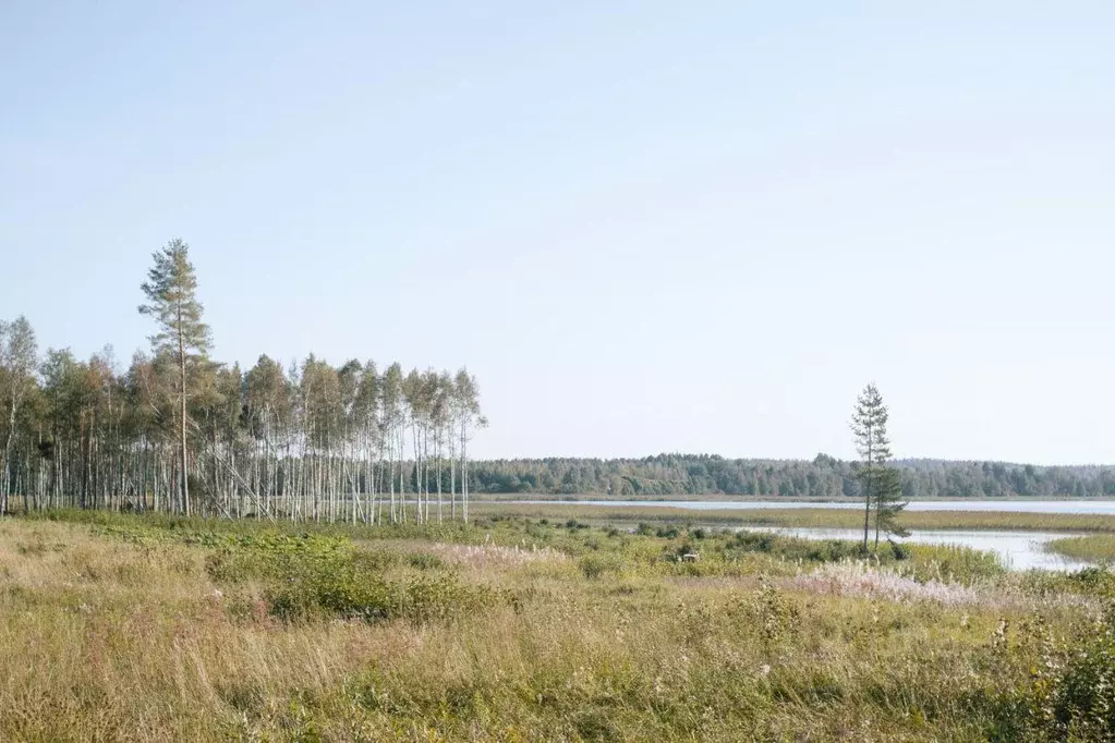 Участок, 10.7 сот., поселения (ижс) - Фото 1