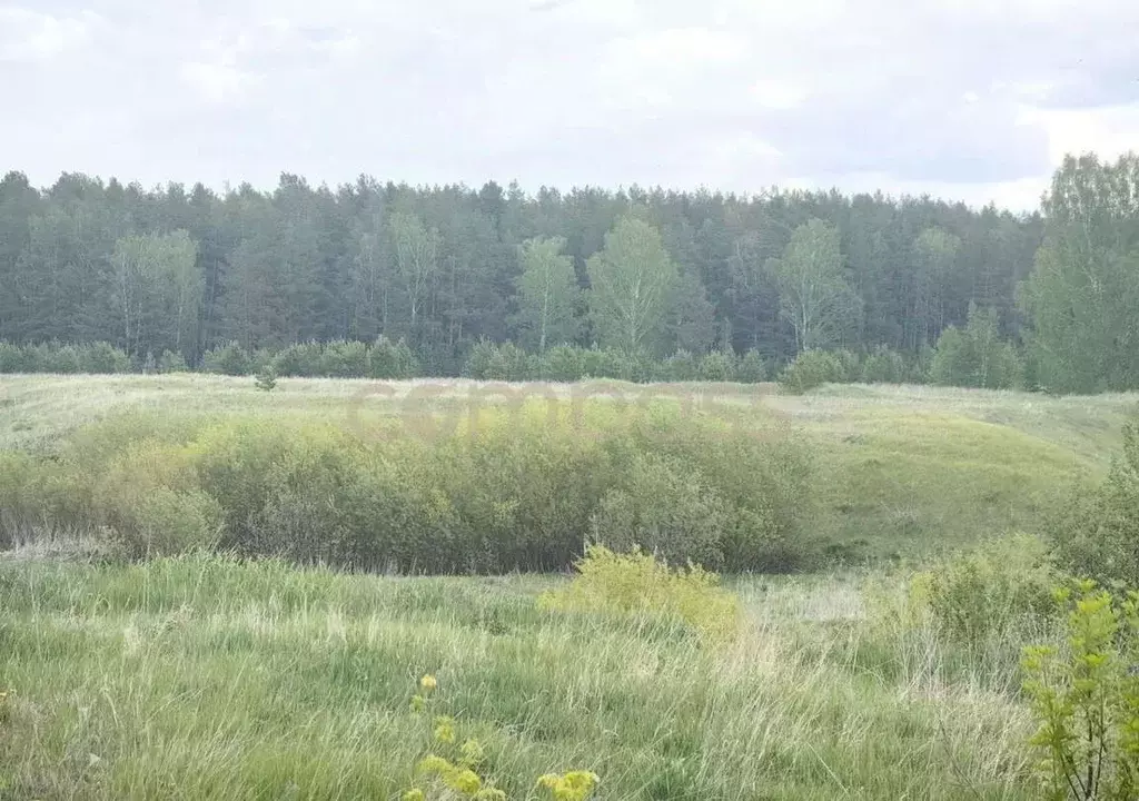 Участок в Тюменская область, Тюменский район, Рублевская слобода кп  ... - Фото 1