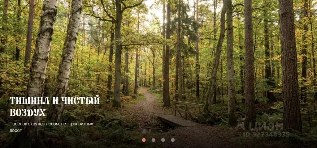 Участок в Московская область, Истра муниципальный округ, д. Ремянники  ... - Фото 2