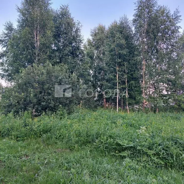 Участок в Новосибирская область, Новосибирский район, Каменский ... - Фото 1