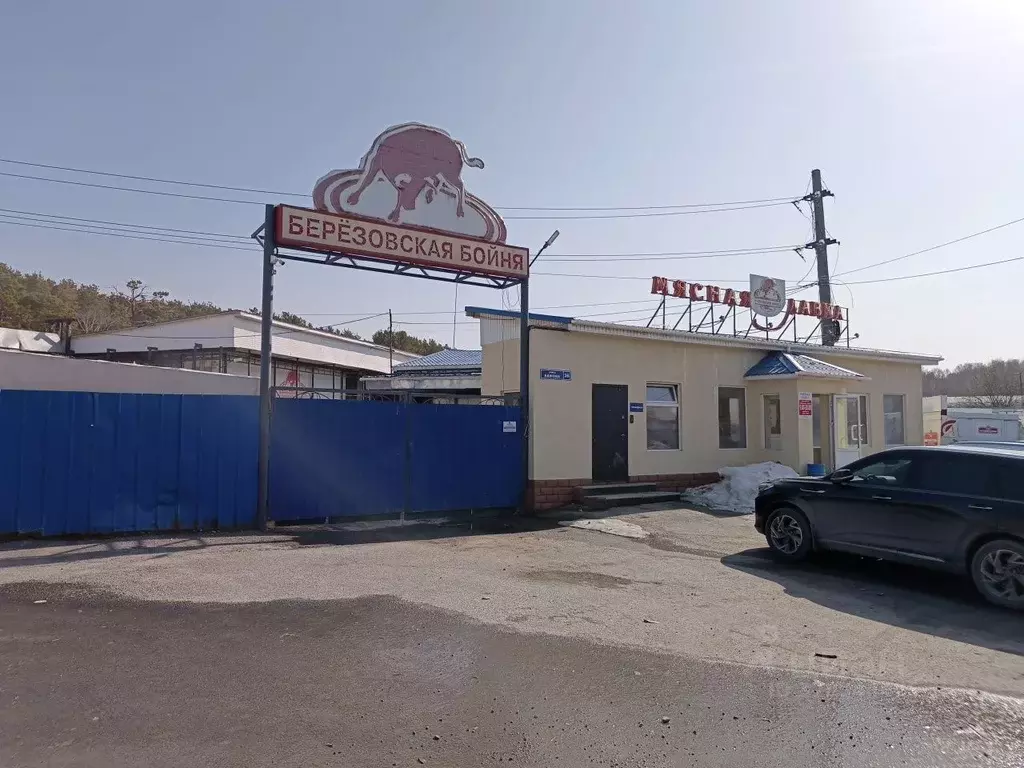 Производственное помещение в Свердловская область, Березовский ул. ... - Фото 1