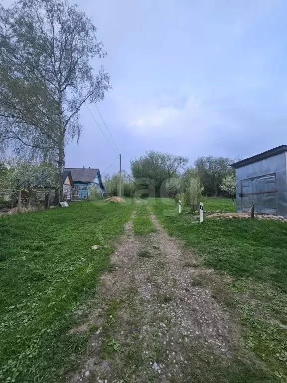 Участок в Смоленская область, Руднянский муниципальный округ, д. ... - Фото 1