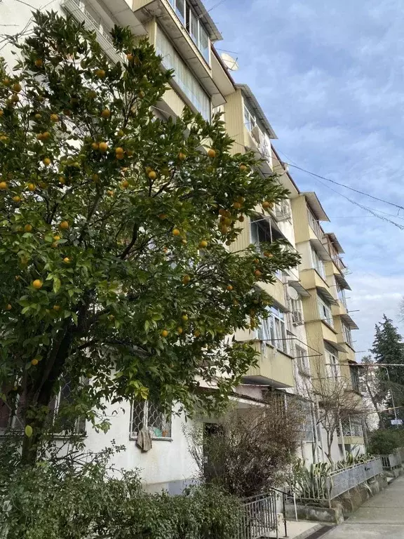 1-к кв. Краснодарский край, Сочи Завокзальный мкр, ул. Тоннельная, 1 ... - Фото 2