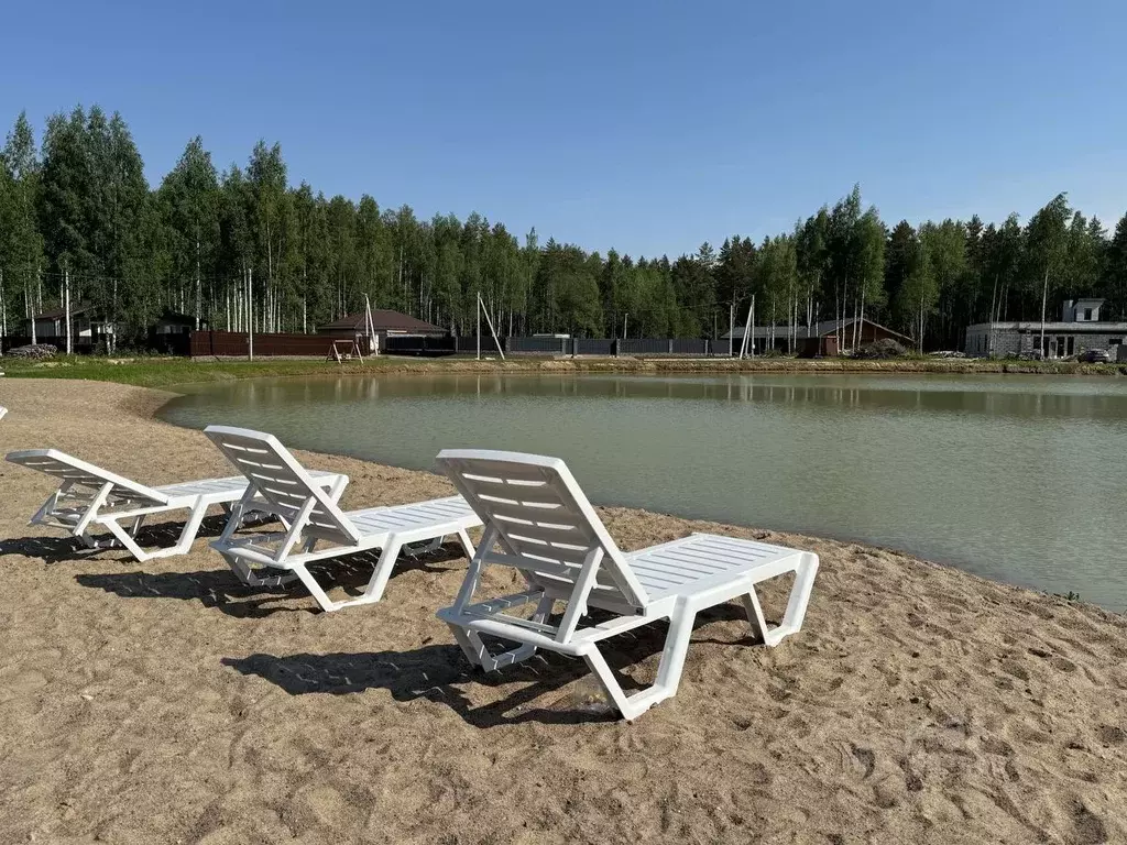 Участок в Ленинградская область, Всеволожский район, Колтушское ... - Фото 2